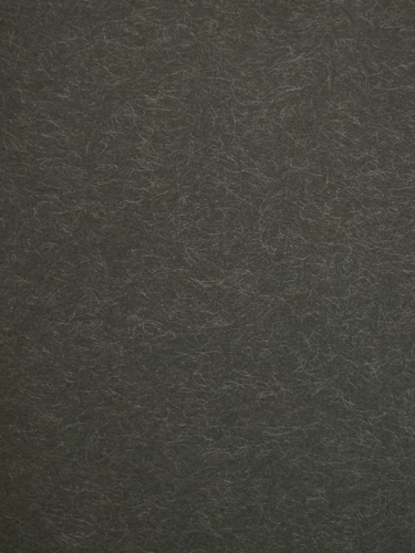 1000169891.png
