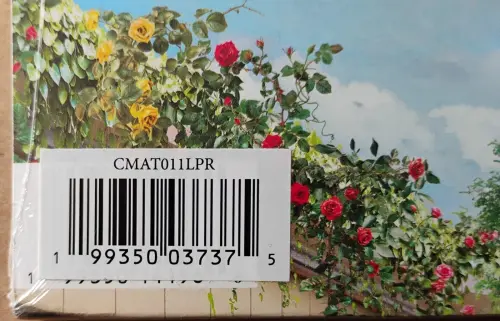 c4.webp
