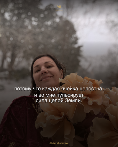 5ded97dc7c36.png