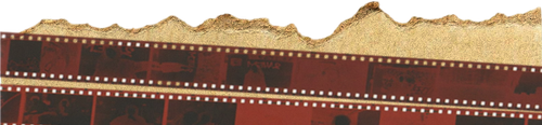 47054f0933d79f3a0672058bc53e56fdibu.png