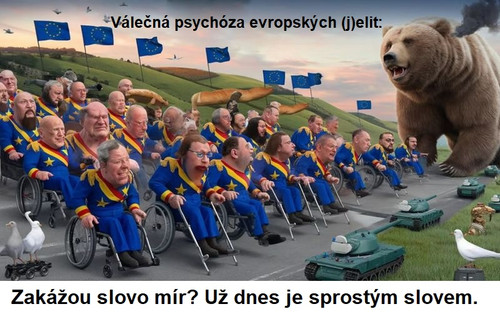 kolaz medved3.jpg