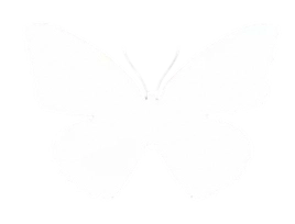 IMG 20260425 214315.png