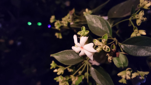 NDjv4UvX SPu sZO1hbaaR z08fe9WNTNcbCSC4 rQPp PZhdzPbuyIeRh3Cdmfw2MgKEGhx5nCzDY8Uv5Pha9zFEygBRHGLQ4Fl.jpg