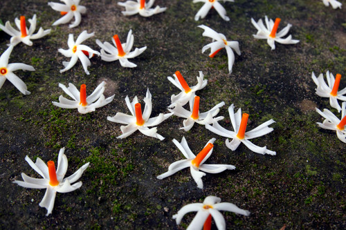 OBTY2eA1HFhLeYQY iubCjkPaOCVlh8ivRoojB50QdAkFyIhtcOWdiakIDS7Hzt0Gz8dXkyj65UFiQAFKoJnO2tq7ZlR5owuh8P3.jpg