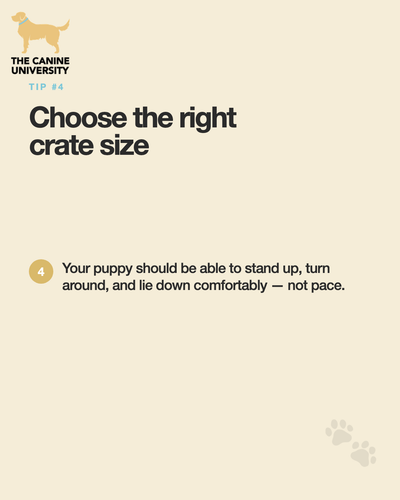 203acd8a4756.png