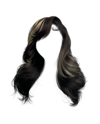IMG 1764.png