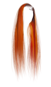 IMG 1743.png