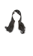 IMG 1710.png