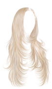 IMG 1713.png