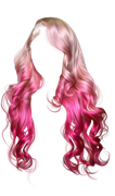 IMG 1731.png