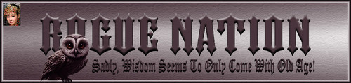 Owlet Banner.jpg
