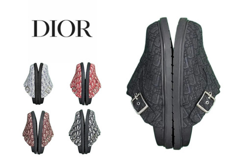 84 Dior x Birkenstock Tokio.jpg