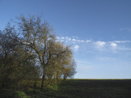 DSCF2818 2.jpg