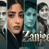 t377 zanjeerain card