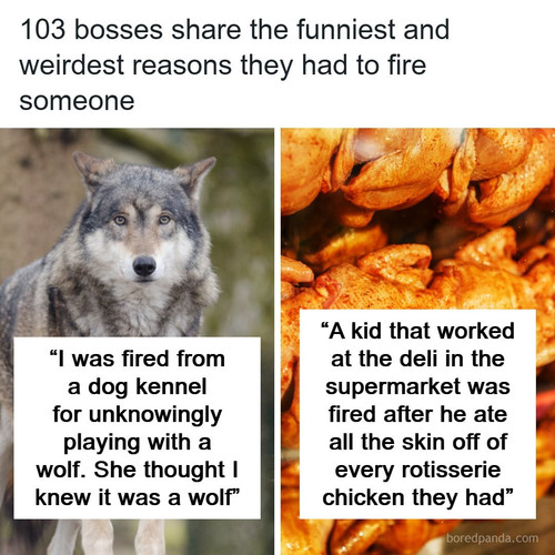 fired employees.jpg