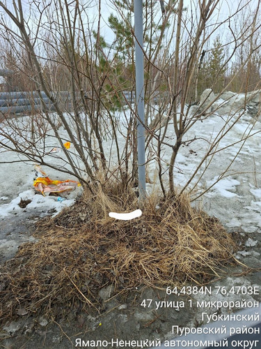 IMG 11EC4A44F71F 5.jpg