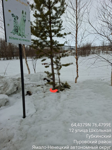 IMG 11EC4A44F71F 1.jpg