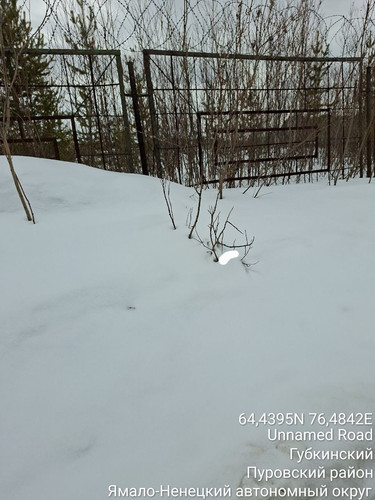 IMG 11EC4A44F71F 10.jpg