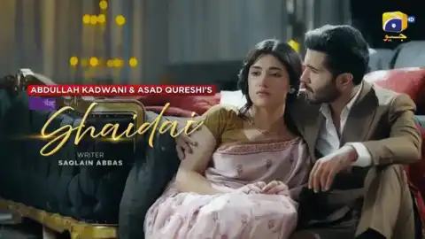 t376 shaidai card.webp