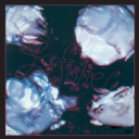 529b89323c0a.png