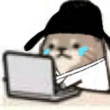 12433423472625255139.gif