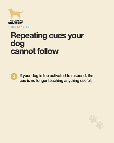c63a5c58325d.png