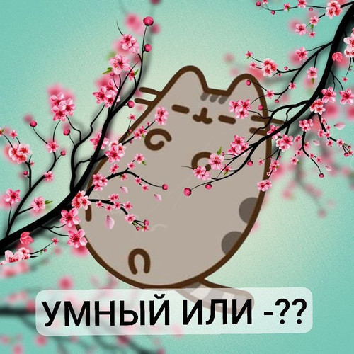 source.jpg
