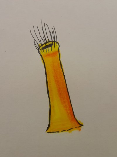 20260424_130402.jpg