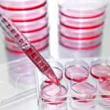 elisa kits distributor.png