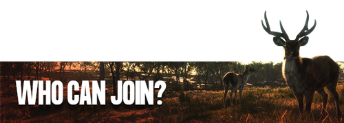 header 3.png
