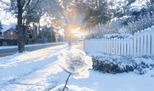 1000022435.gif