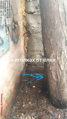 209.jpg