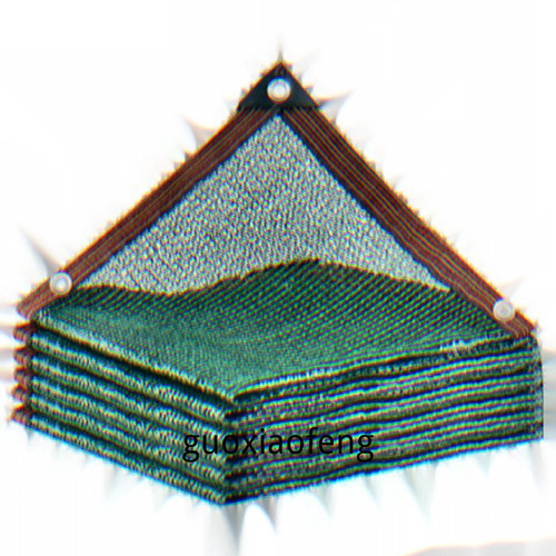 1777031440079.jpg