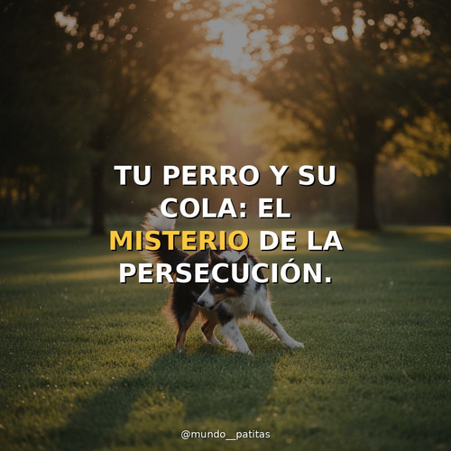9d611cb7bd44.jpg