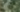 NVIDIA Overlay 9bJ2FnLmxN.png