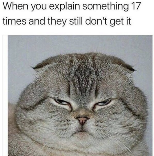 Screenshot 2026 04 26 at 9.15.09 AM.png