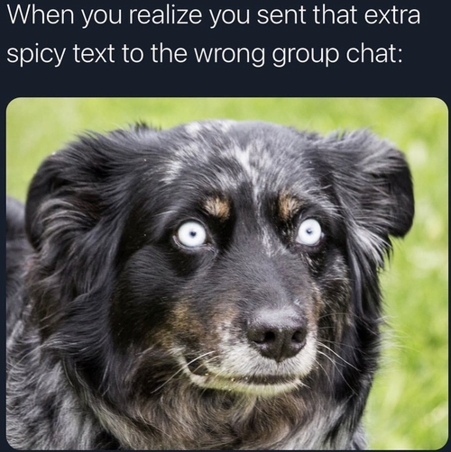 Screenshot 2026 04 26 at 9.15.23 AM.png