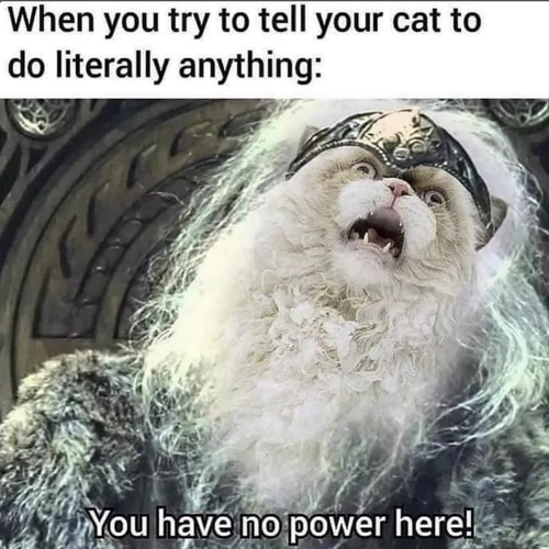 Screenshot 2026 04 26 at 9.14.44 AM.png