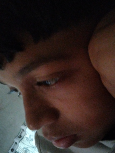 temp.png