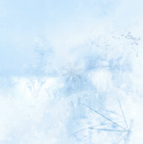 1000022500.gif