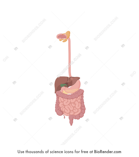 1000004858.png