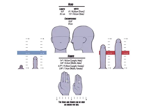 JamesAB 410611 A327 Penis Proportion Chart.webp