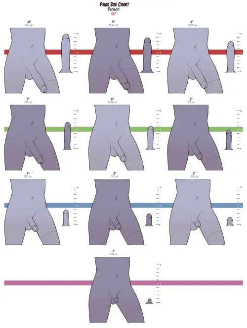 JamesAB 410155 A325 Penis Size Chart.webp