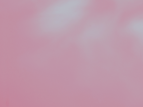 temp.png