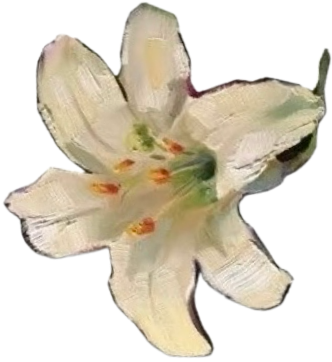 IMG 0451.png