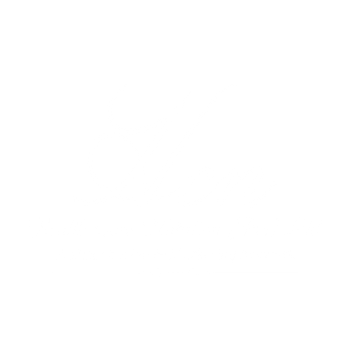HCN Logo Official whitepng.png