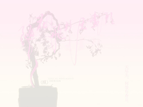 板写壁纸“随花飞到天尽头”（平板 手机） 1 許庆照 来自小红书网页版 拷贝.jpg