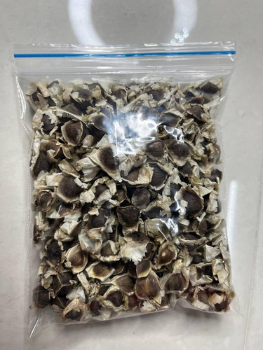 715 Zl369hL. SL1280 .jpg