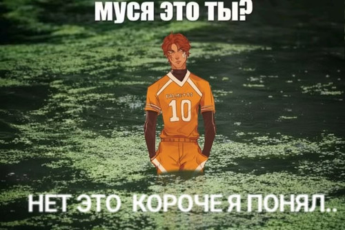 source.jpg