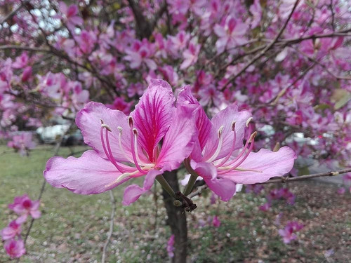 61Qfx3G6IBL. AC UF1000,1000 QL80 .jpg